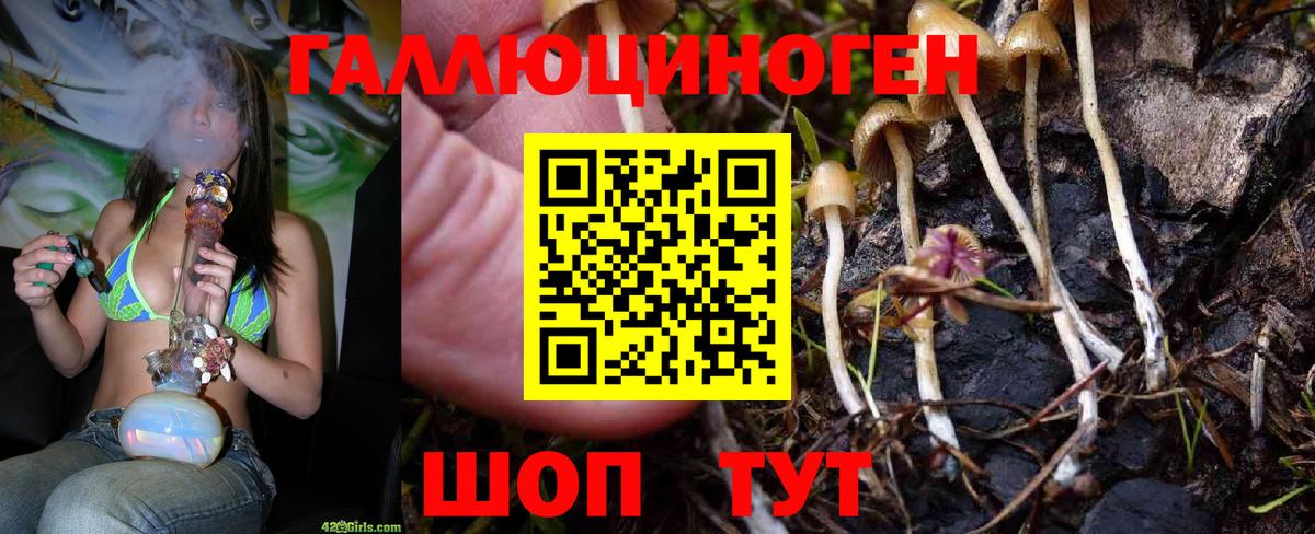 Псилоцибиновые грибы мицелий  Вход с VPN  Котельники 